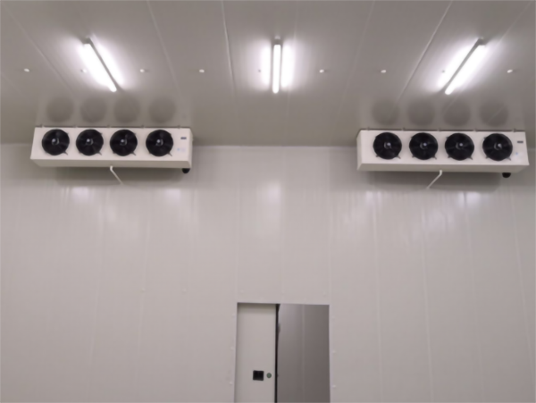 食品公司內建造一個1000平包子、水餃速凍冷庫費用是多少？