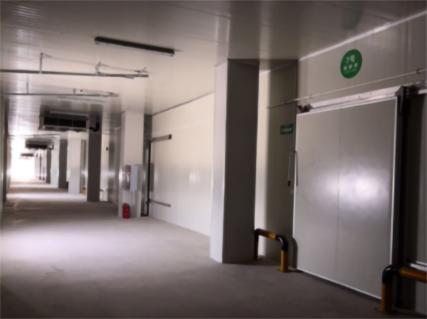 食品公司內(nèi)建造一個(gè)1000平包子、水餃速凍冷庫(kù)費(fèi)用是多少?