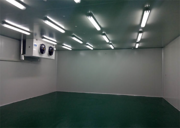 食品公司內(nèi)建造1000平加工型冷庫大概費用是多少？