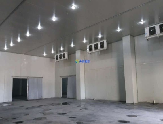 城市周邊建造一個(gè)8800平生鮮電商冷庫(kù)設(shè)計(jì)安裝費(fèi)用?