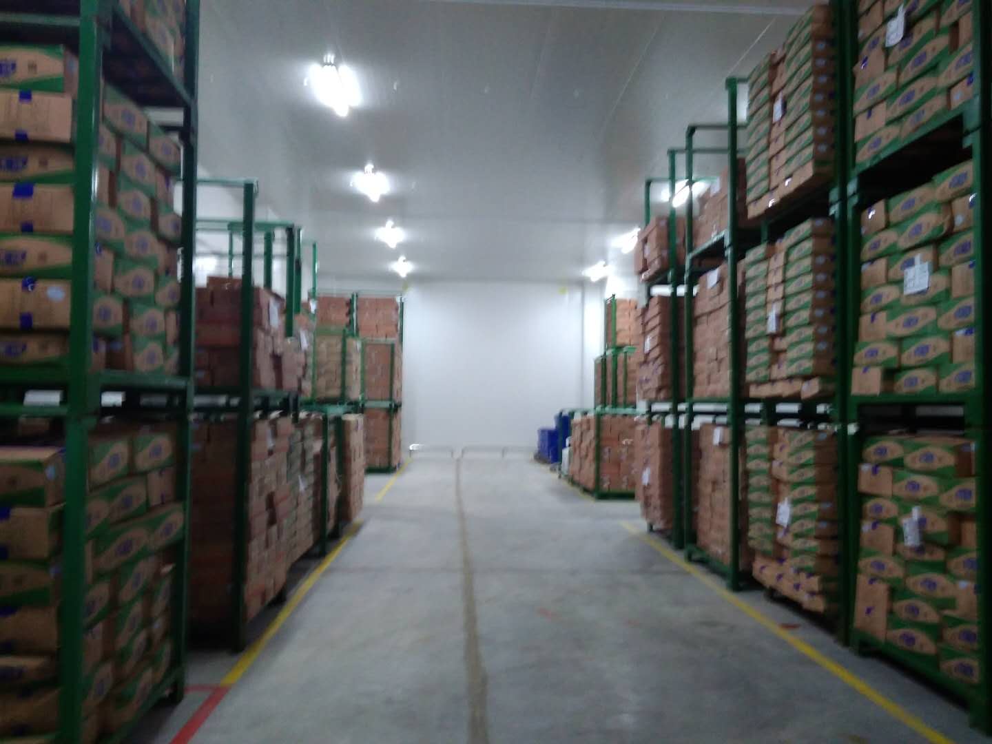 建設(shè)8500㎡陰涼物流低溫倉庫安裝配置方案費用是多少？