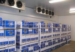 果蔬，黃桃氣調保鮮冷庫