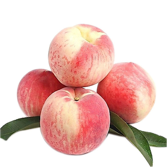 桃子冷庫保鮮方法，水果氣調庫安裝設計