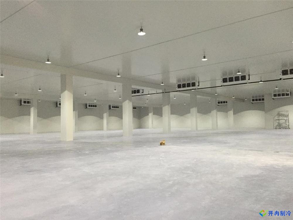 上海建500平米冷凍庫，冷庫造價成本多少錢