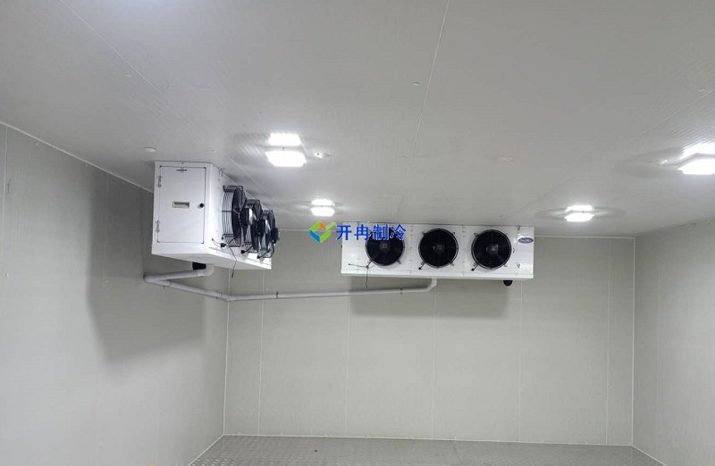 三甲醫(yī)院冷庫(kù)，體外診斷試劑冷庫(kù)